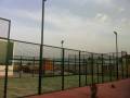 Deportivas-1