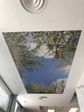 Oficinas-20