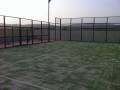 Deportivas-4